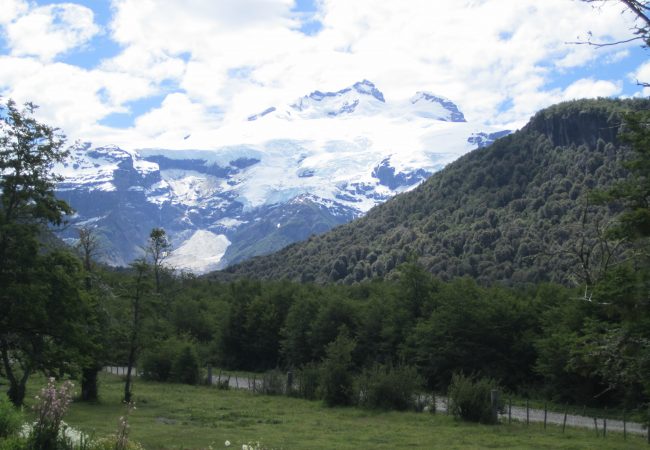 IMG_0255 IMG_0255