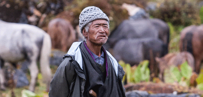 bhutan21 bhutan21